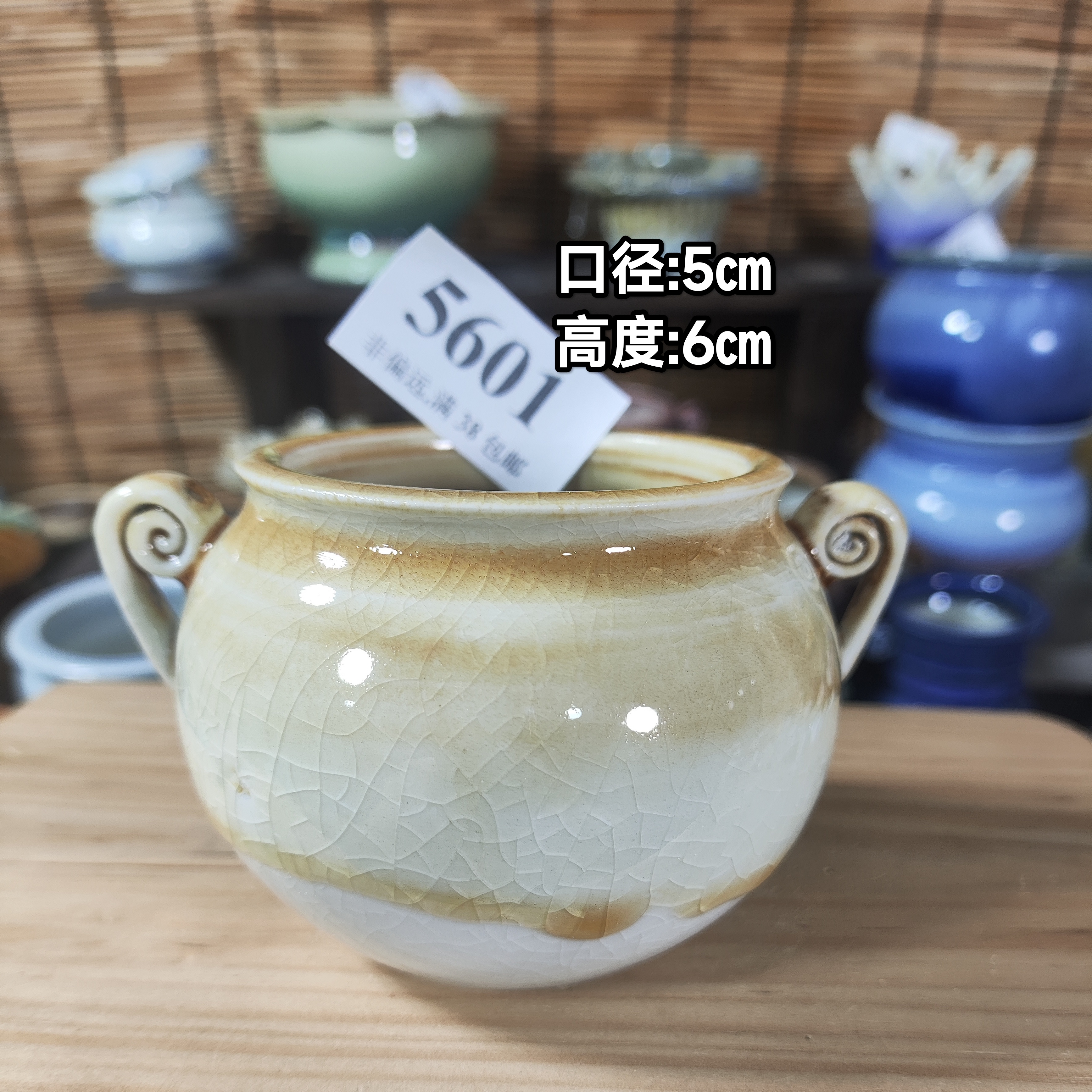 手工创意多肉花盆摆件迷你多肉花盆景德镇纯手工制做