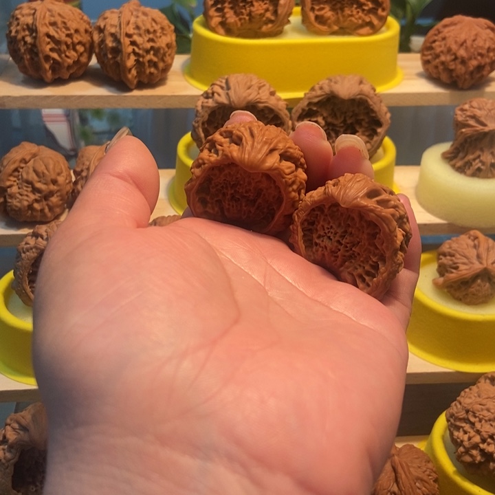 官方网站发布信息