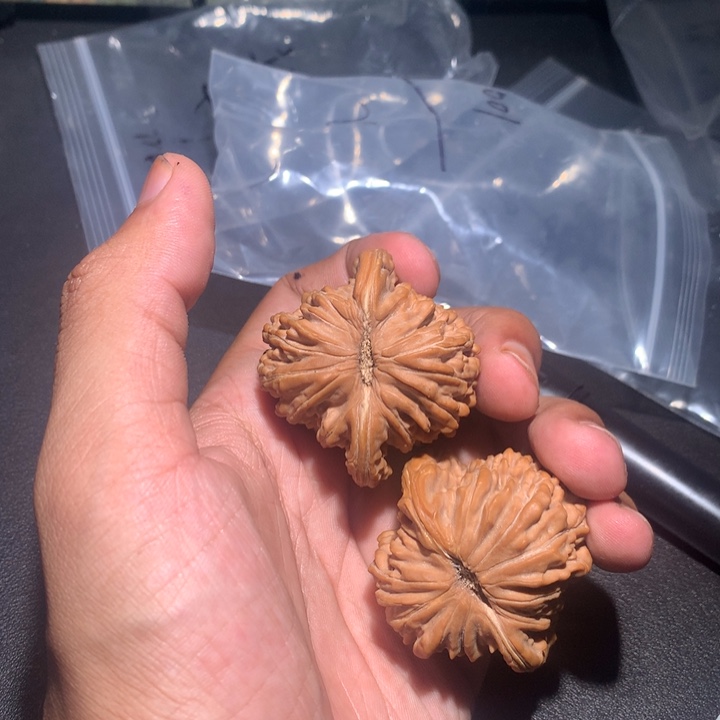 燕***鹰手串/手链核桃006