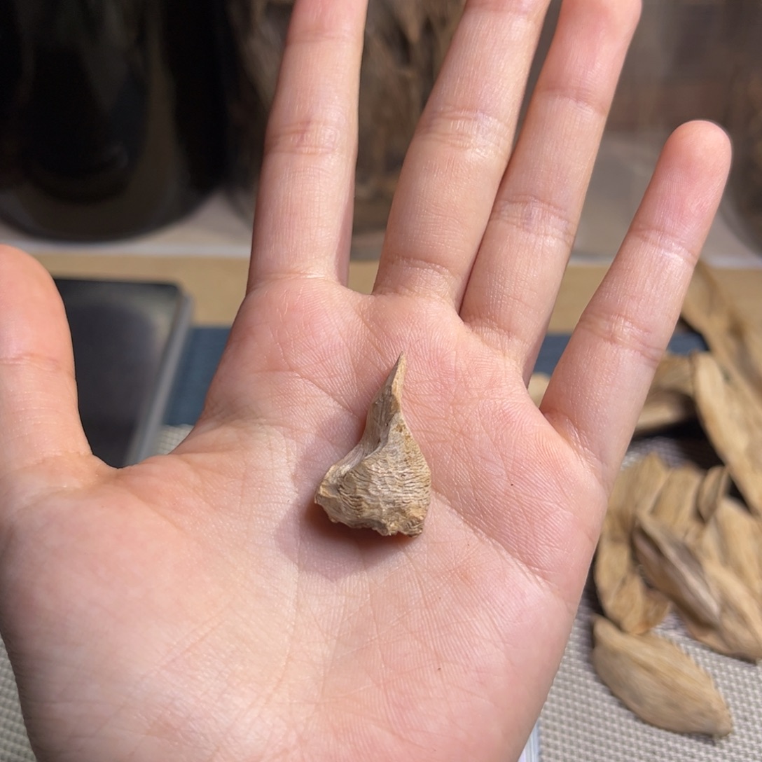 沉香广西博白虎斑棋0.5克