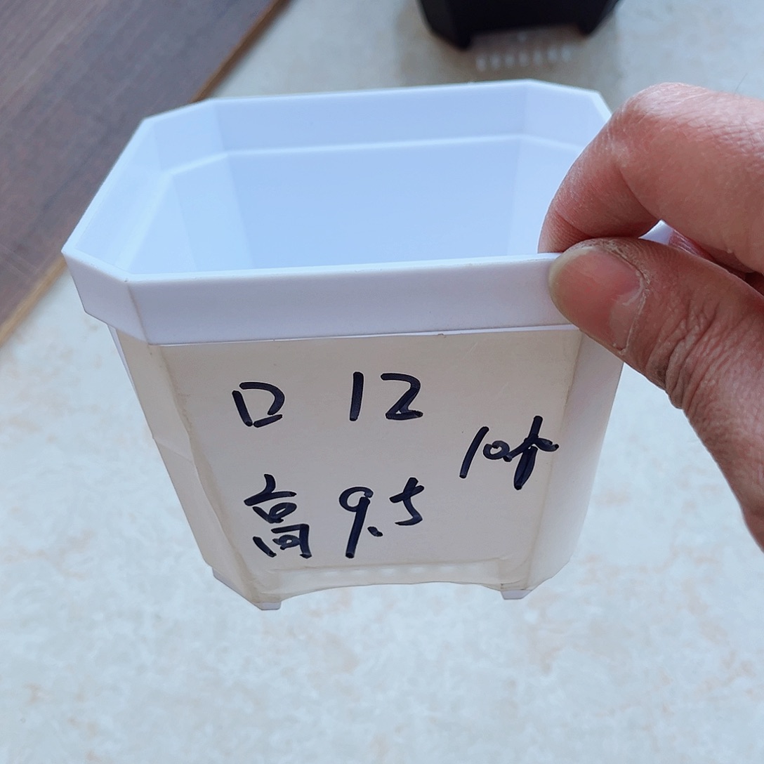 塑料加厚斜角款12方白色盆10个无托