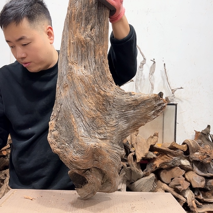 柏木大***柏文化等领域合作不断深化