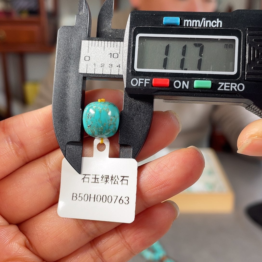 绿松石颈饰未镶嵌