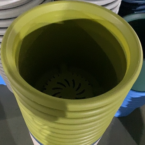 树脂四季6号微瑕果绿无托7个