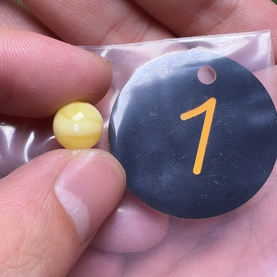 蜜蜡未镶嵌珠宝奇石Z*10mm