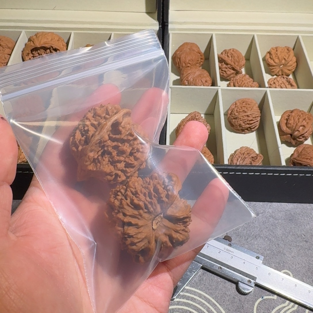 ****圈大叶紫檀（黑酸枝木类）