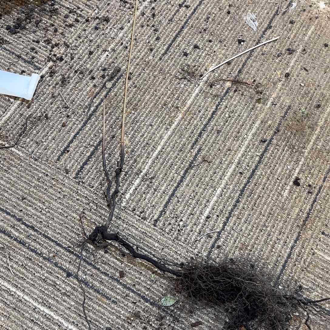 金***选哈哈哈哈哈哈哈哈哈哈哈