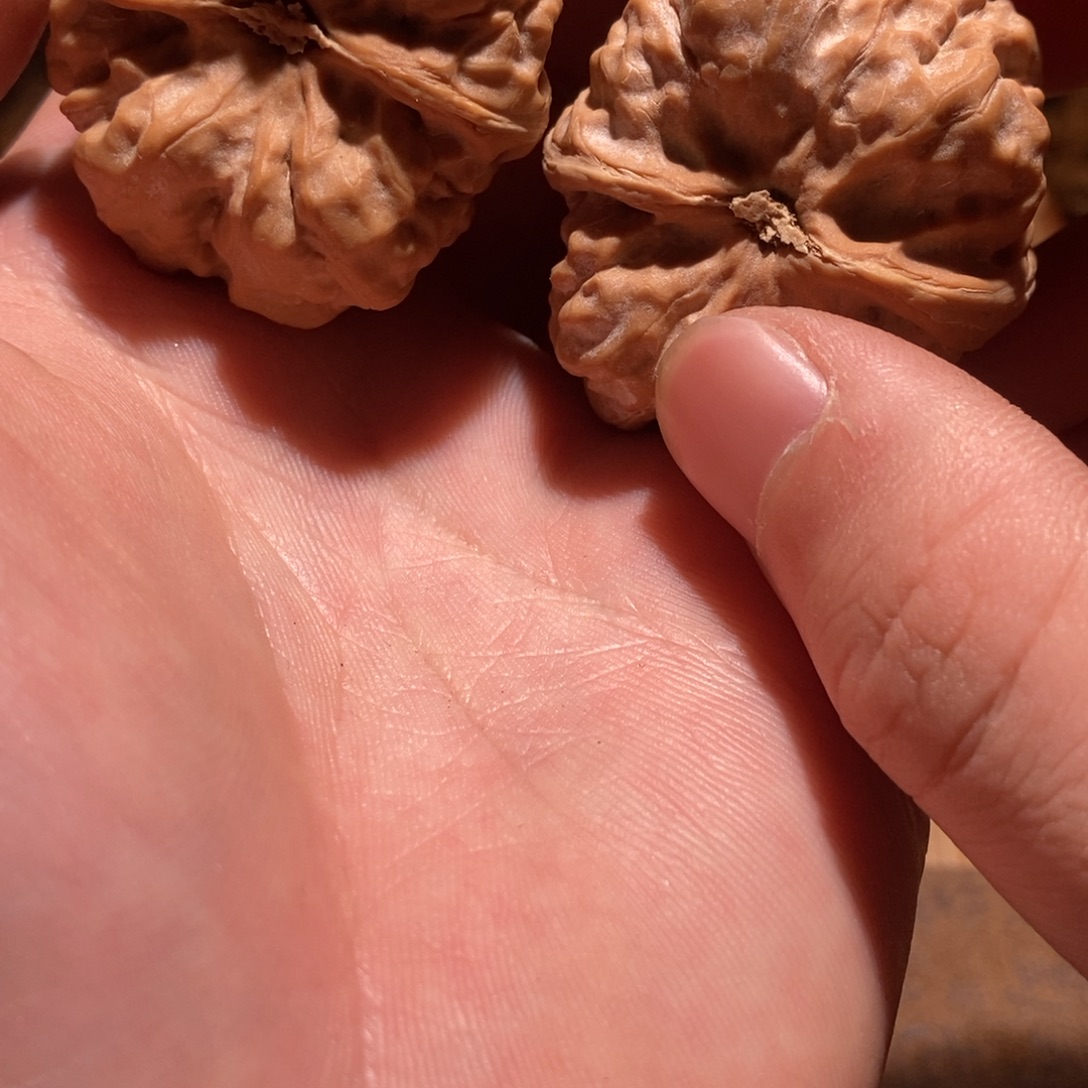 冬***阳吊坠文玩核桃蛤蟆头D08