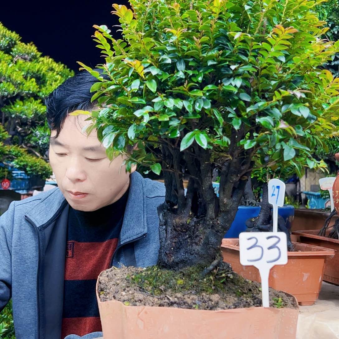 以实际为准曾*多