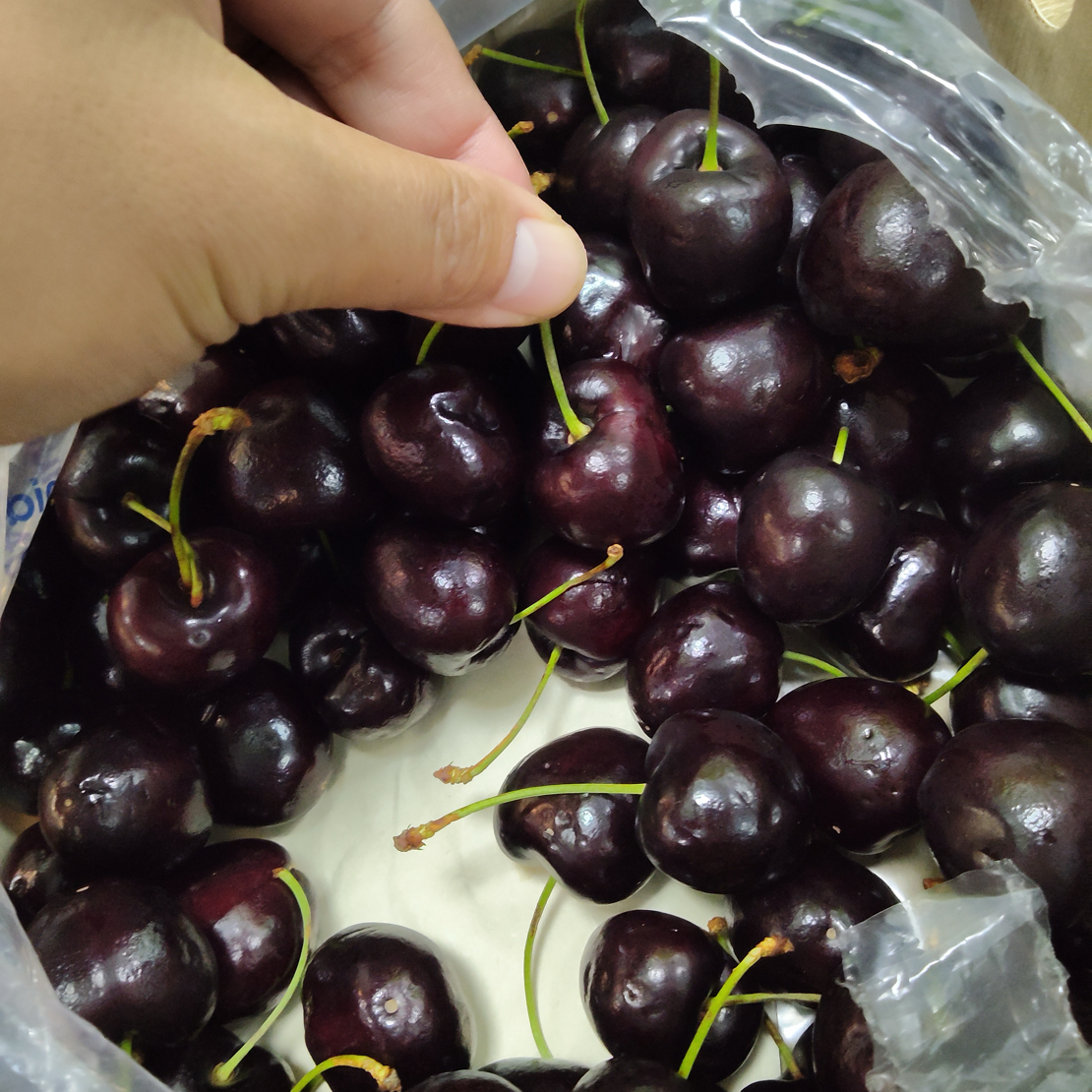 一斤半智利车厘子4J 加黑加粗空运进口净重 750g 内附果径卡智利