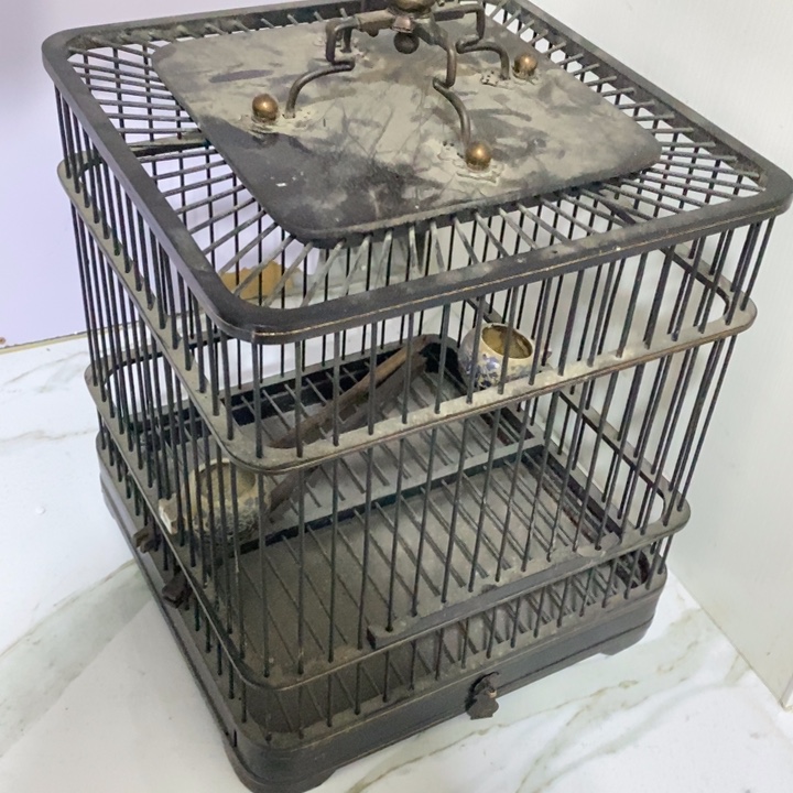 端景台紫檀木类木