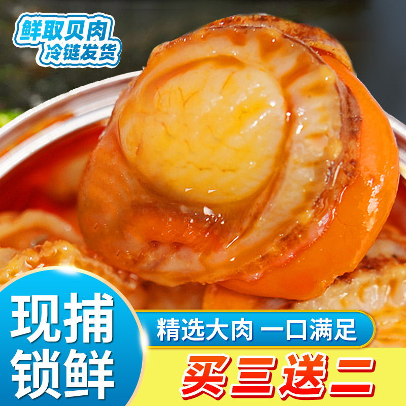 即食麻辣扇贝海鲜熟食特产零食休闲香辣下饭海制品水产扇贝6