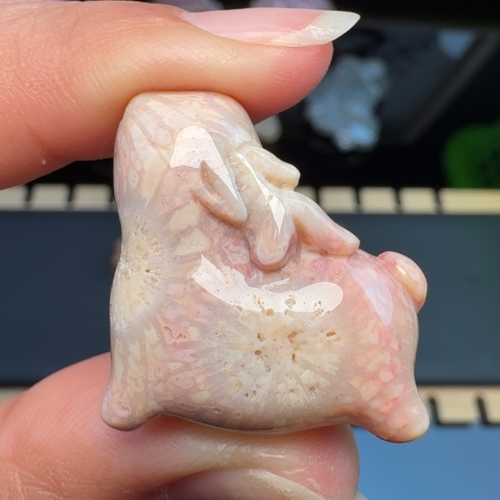 硅化玉合金颈饰福利
