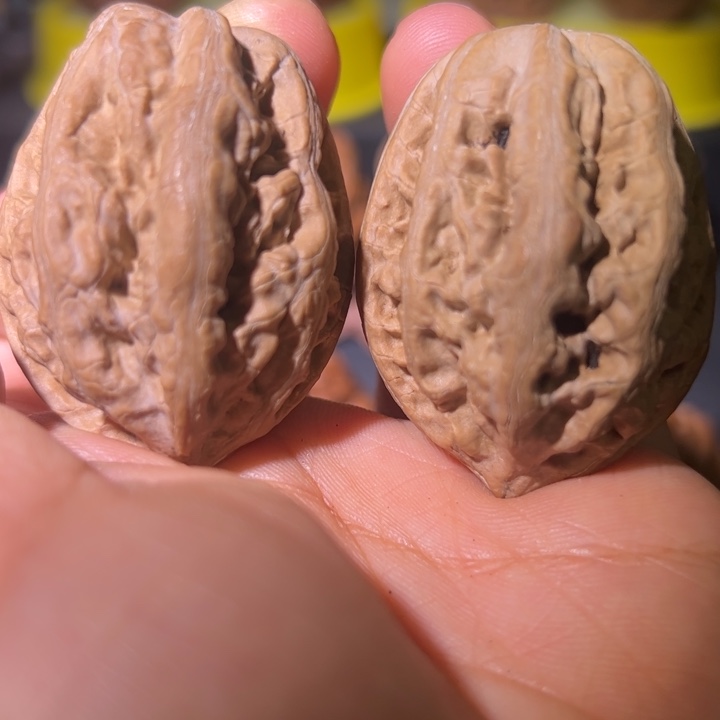 文玩核桃吊坠核桃22W