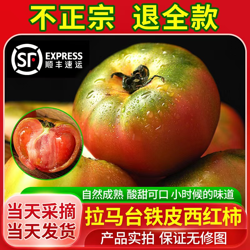 辽宁铁皮西红柿酸甜多汁现摘现发顺丰到家正宗碱地铁皮柿子