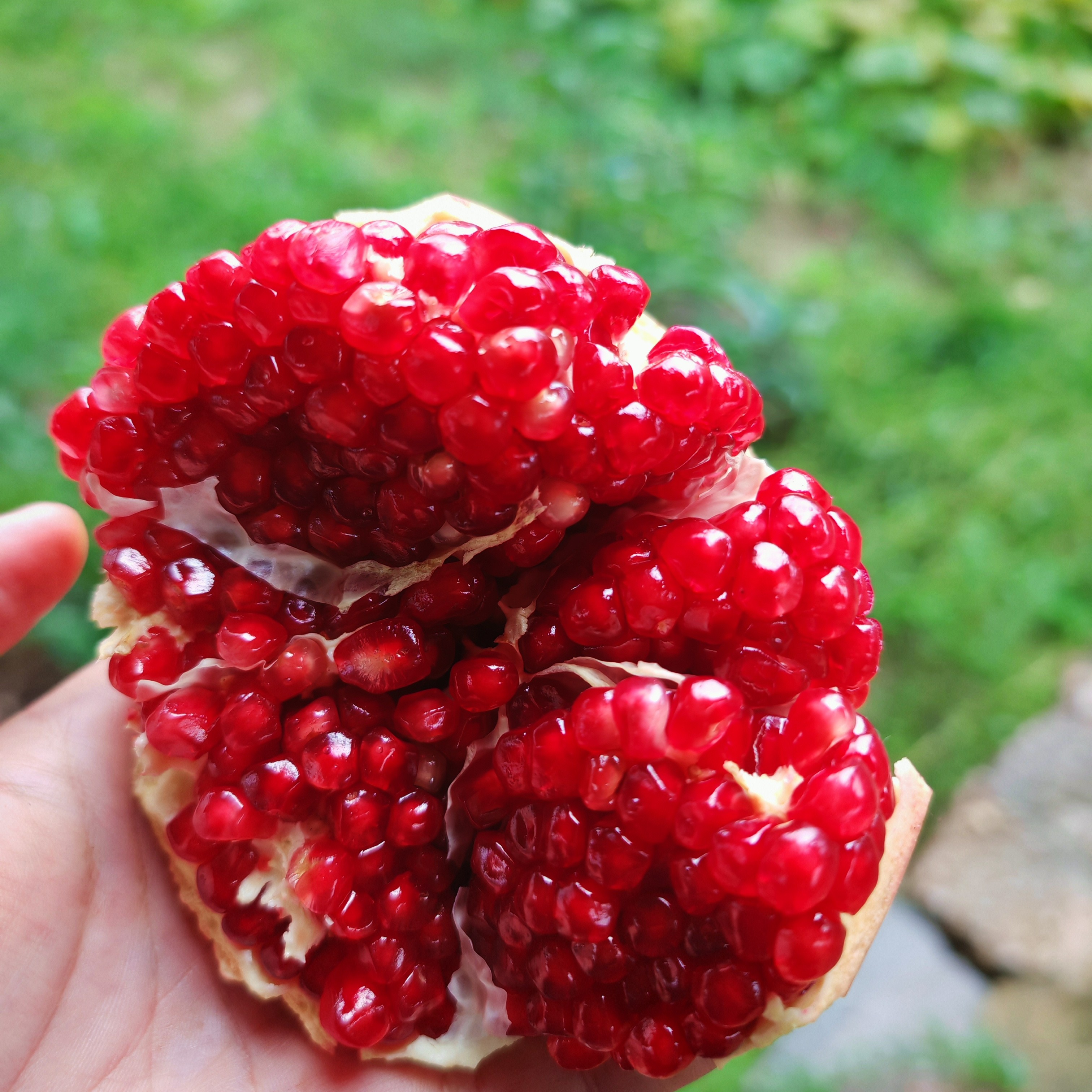 富平酸石榴新鲜红石榴酸甜口感六分酸四分甜套袋智慧保鲜团队90天