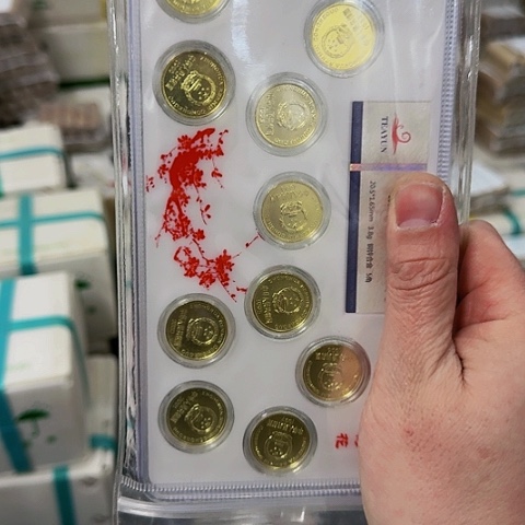 其他普通金属面*妹中国人民银行套装11枚005