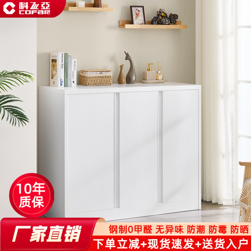 厂家阳台柜收纳柜鞋柜家用门口2025年新款高级感轻奢餐边柜铁皮柜