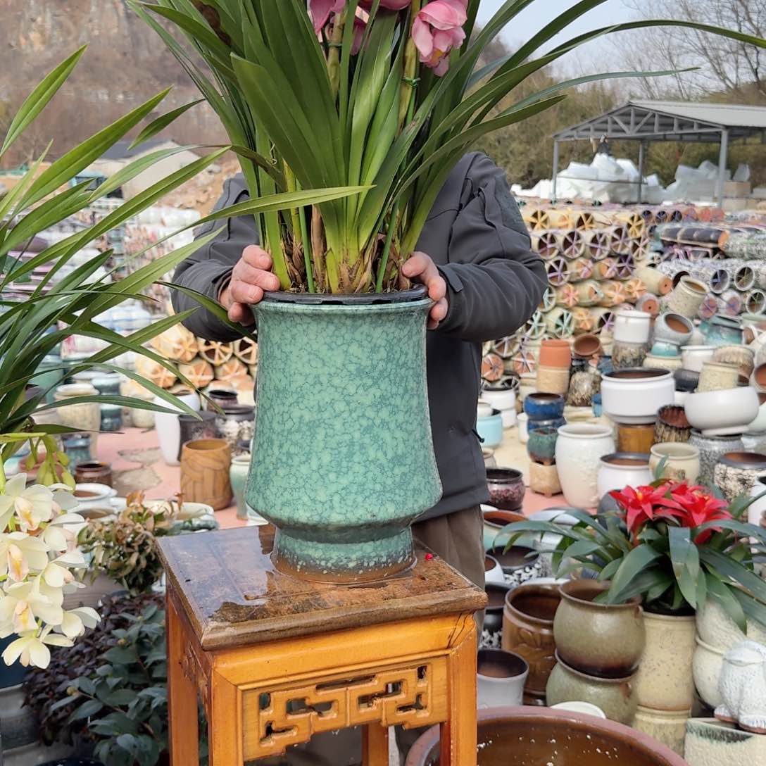 紫砂花盆口20高30（一个绿雪花束腰