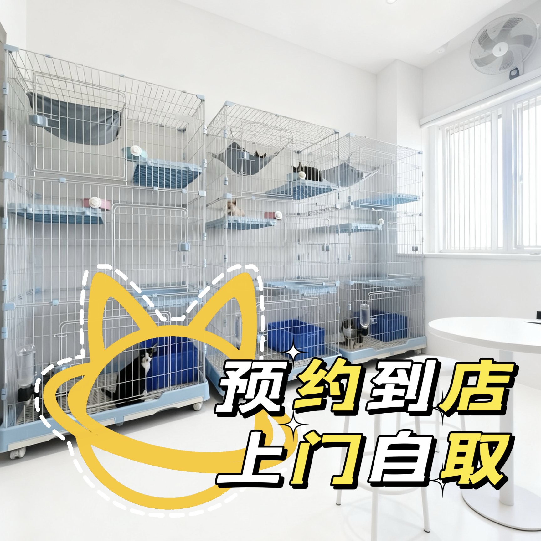 德文卷星人 预约看猫/上门自提