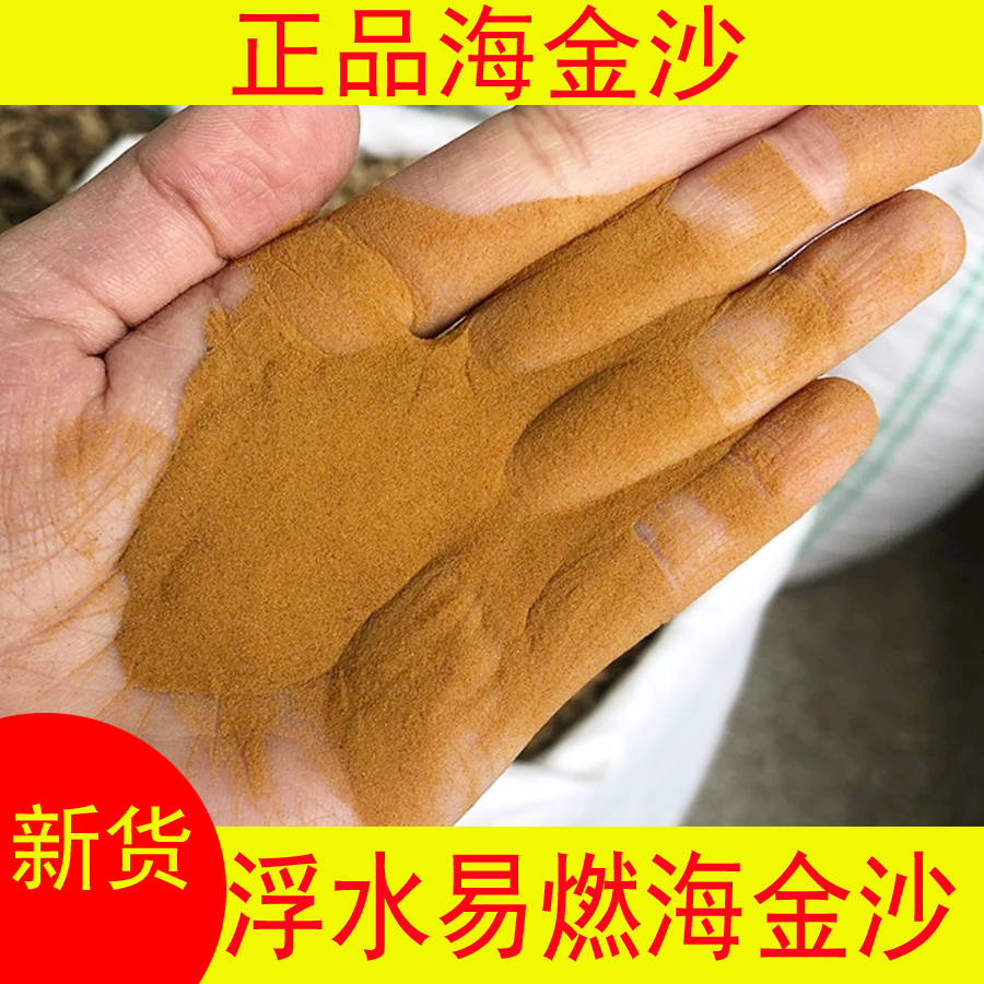 金钱草海金沙初级农产品新货可搭配鸡内金干货可泡水喝