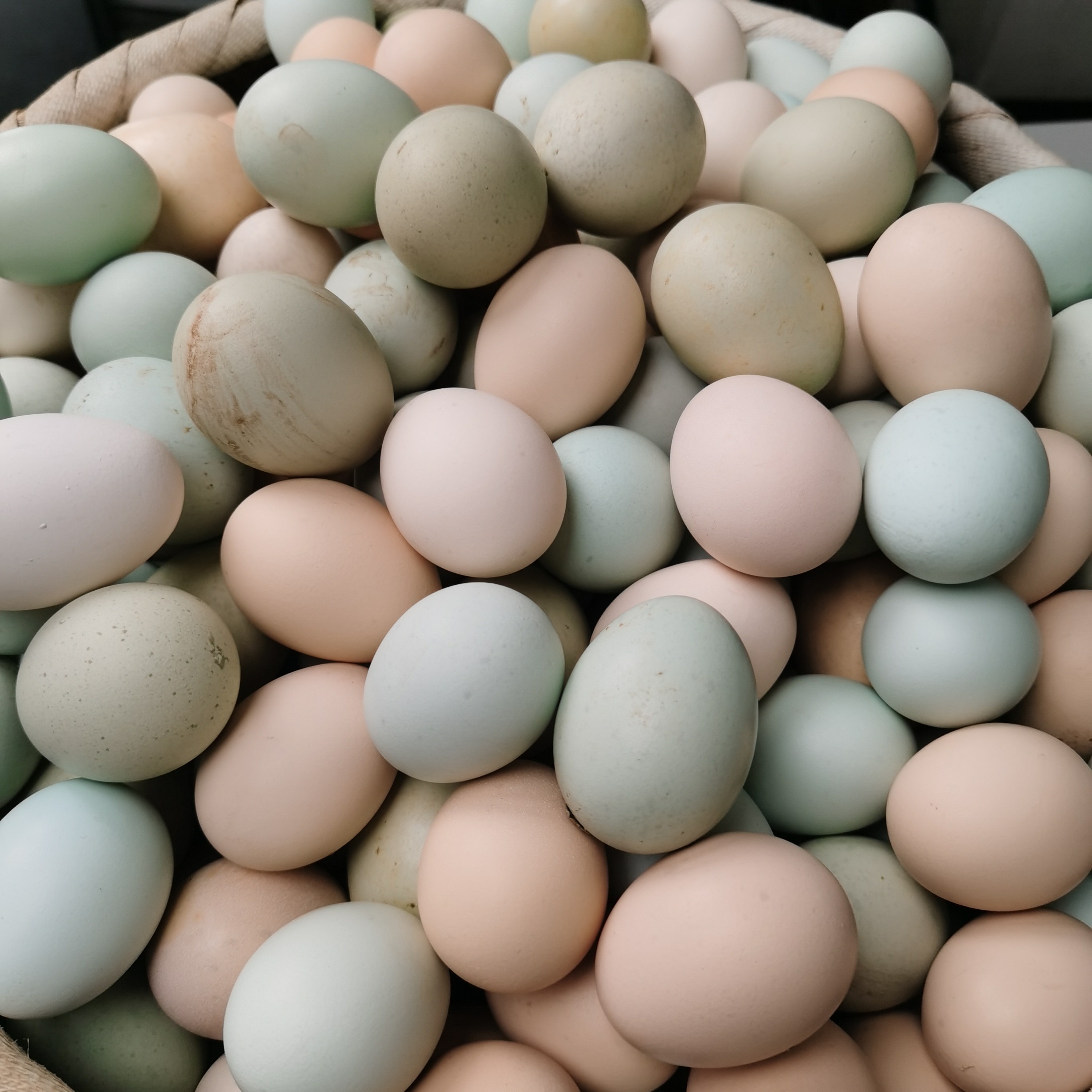 土鸡蛋 农家散养5斤