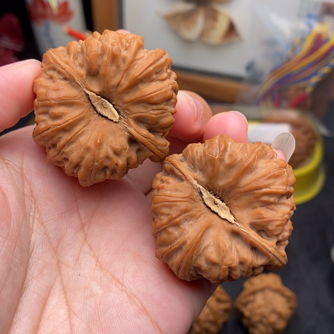 文玩核桃把件40平谷凹底