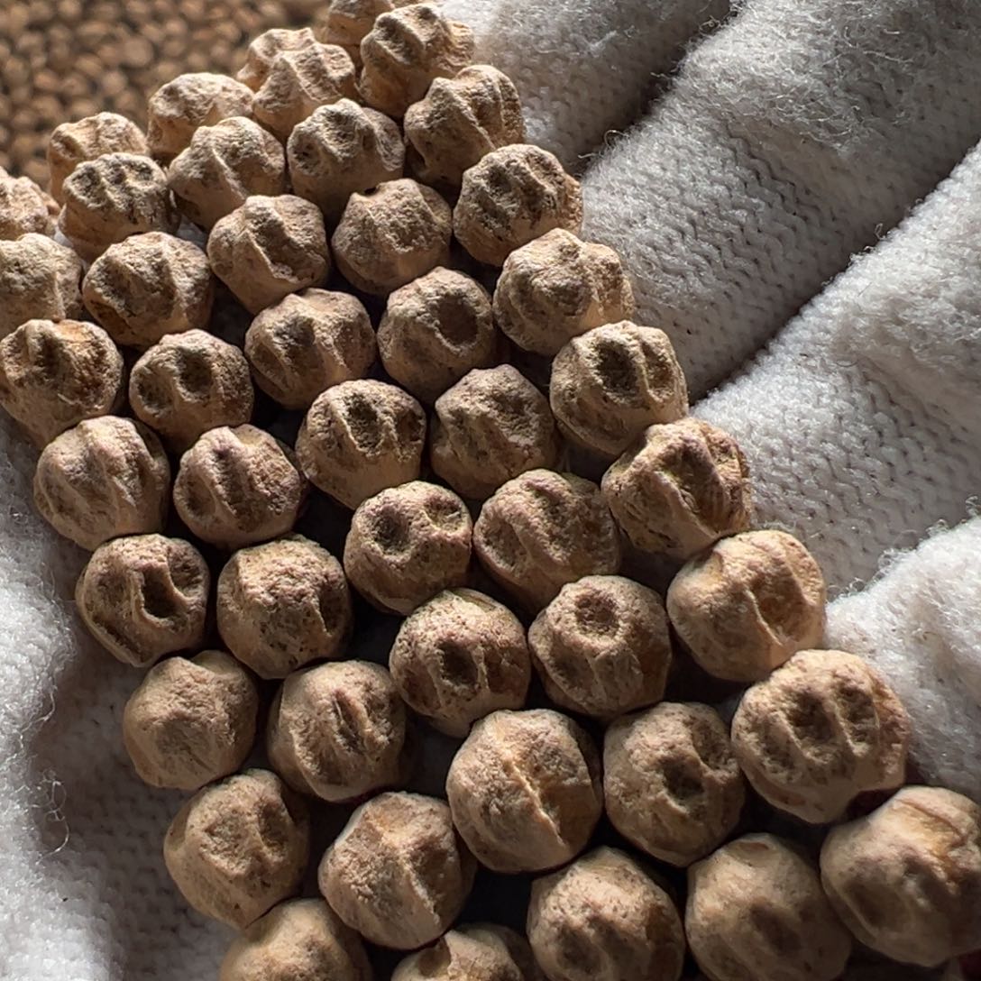 柏香籽/百香籽吊坠錢*昊