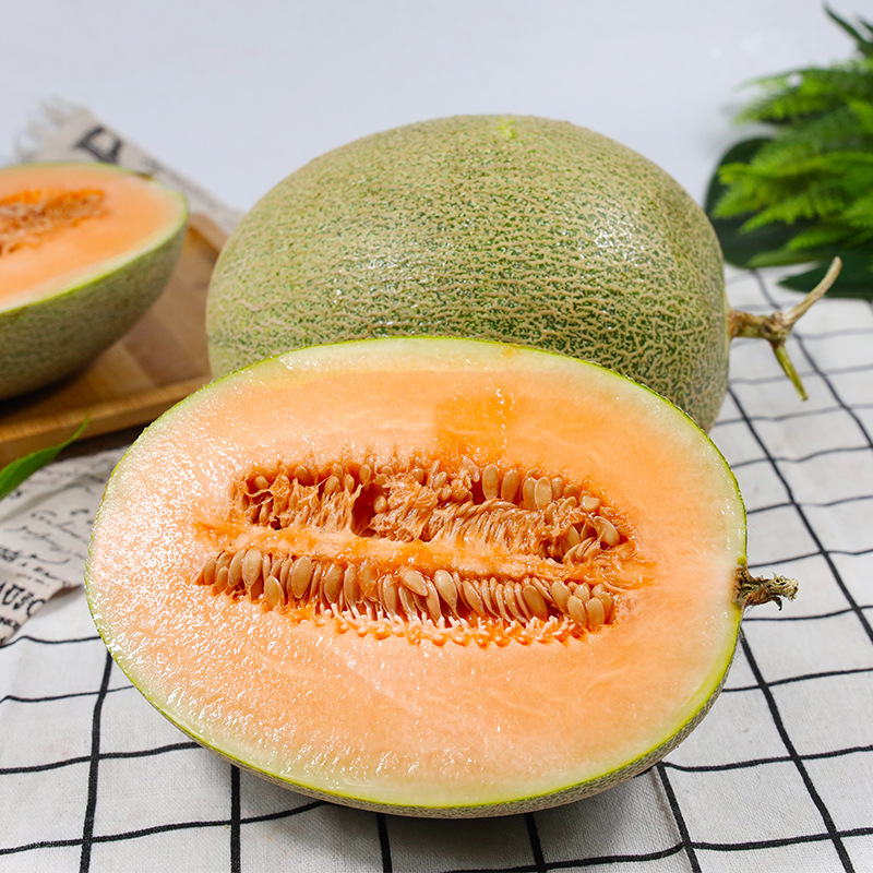 【新鲜采摘】正宗海南哈密瓜西州蜜瓜脆甜多汁现摘现发皮薄肉厚甜瓜