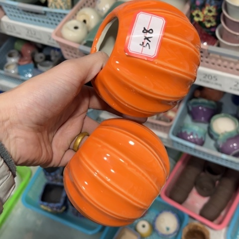 2［所有订单凑满15明天发］5×8