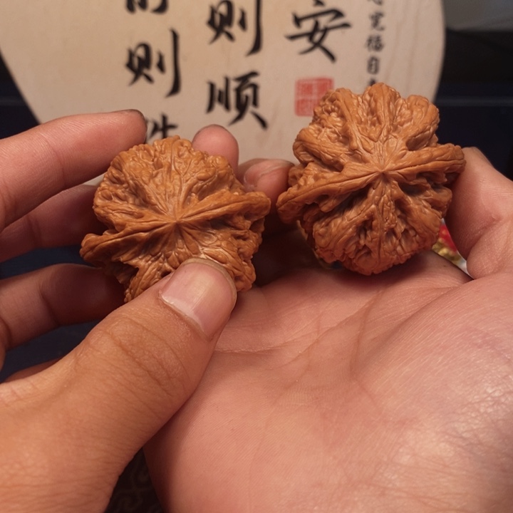 桃核吊坠46全品大粗筋