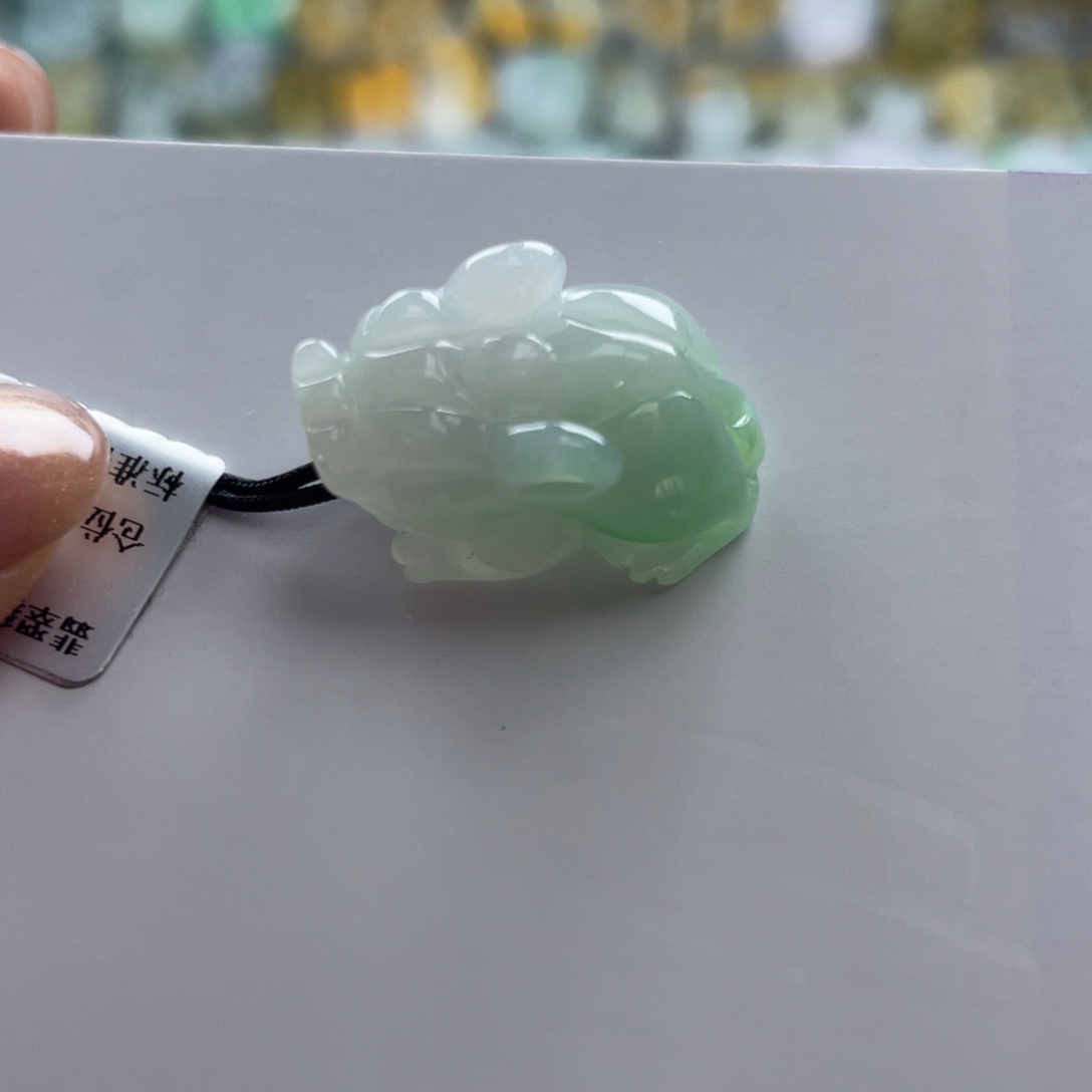 翡翠未镶嵌颈饰貔貅