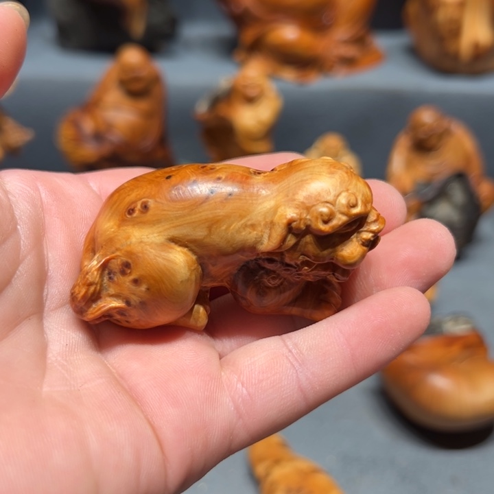 柏木（崖柏）点点关注
