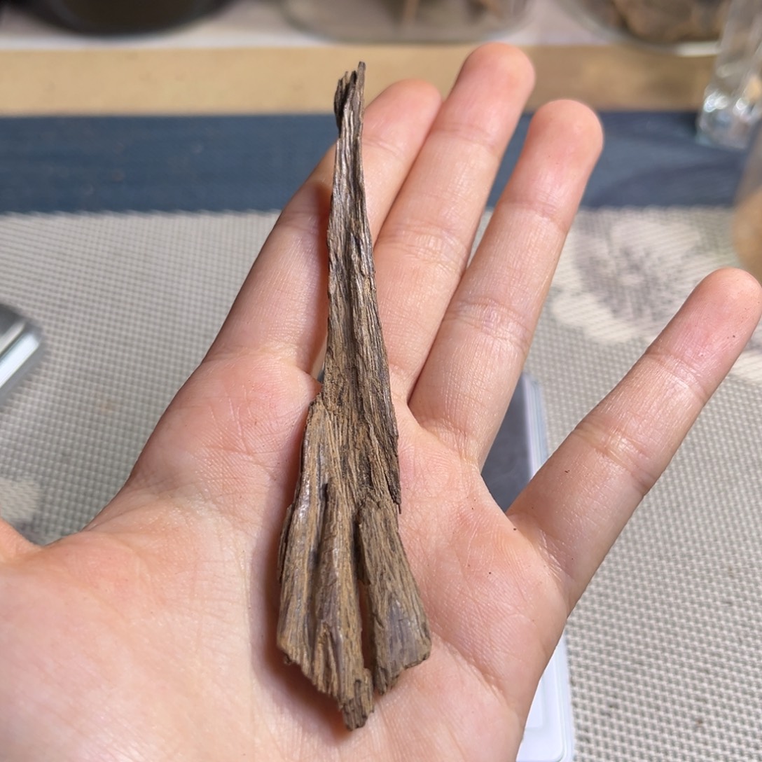 香料越南熟结老料2克开播福利