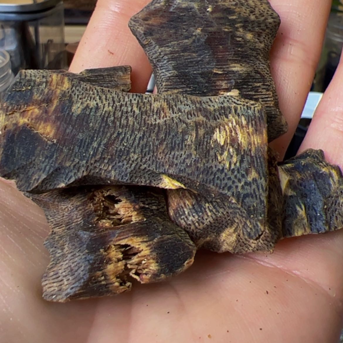 【闪购商品】手把件沉香奇楠白棋高端老块料20克