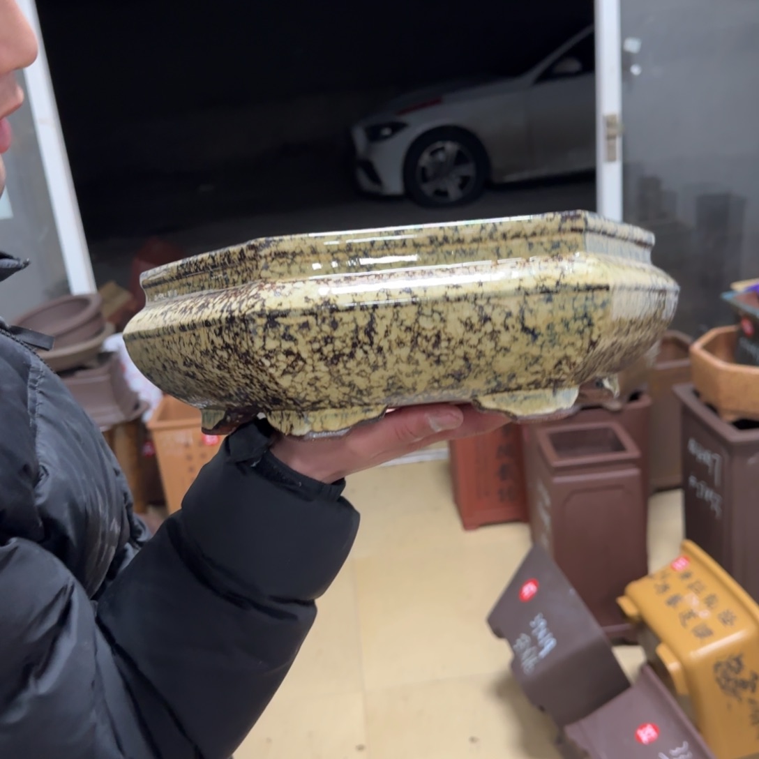 紫砂花盆呜呜呜呜