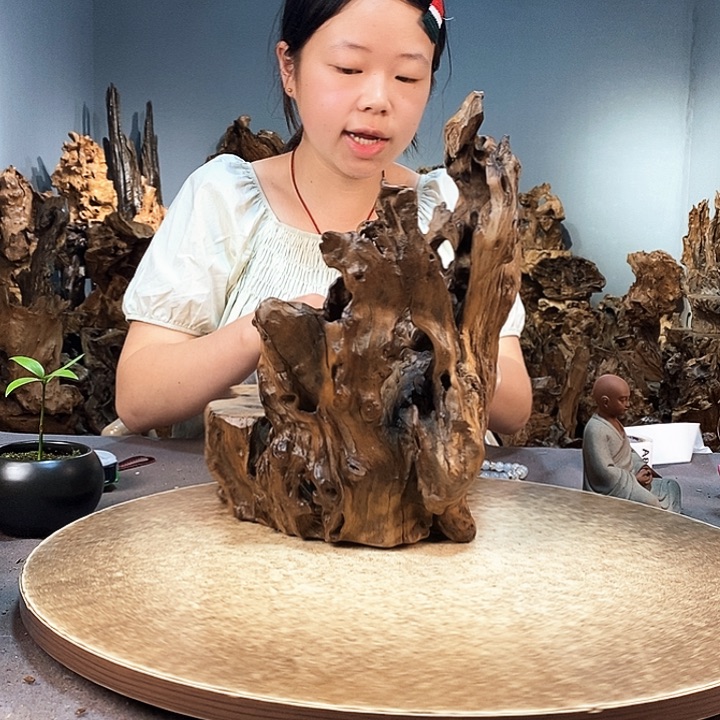 茶盏平**乐856株木随行的小根艺