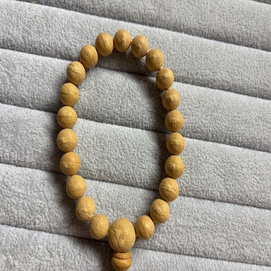 尼泊尔凤眼菩提单仓11尺寸精挑精选手串