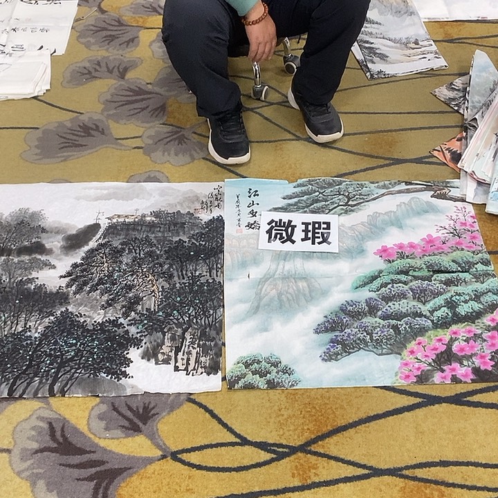 随***缘国画放漏作品手绘画芯