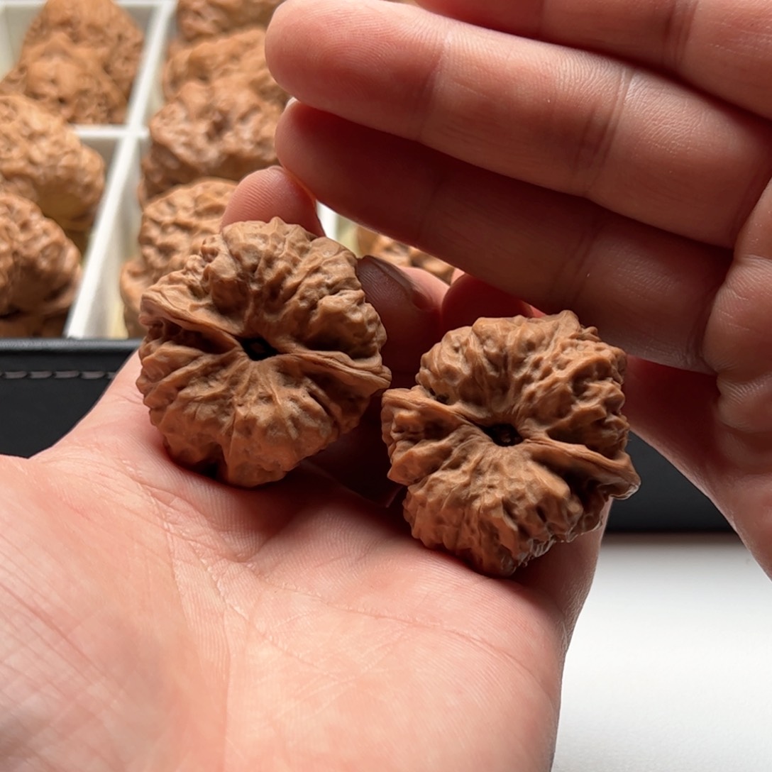 核桃把件延庆蛤蟆头