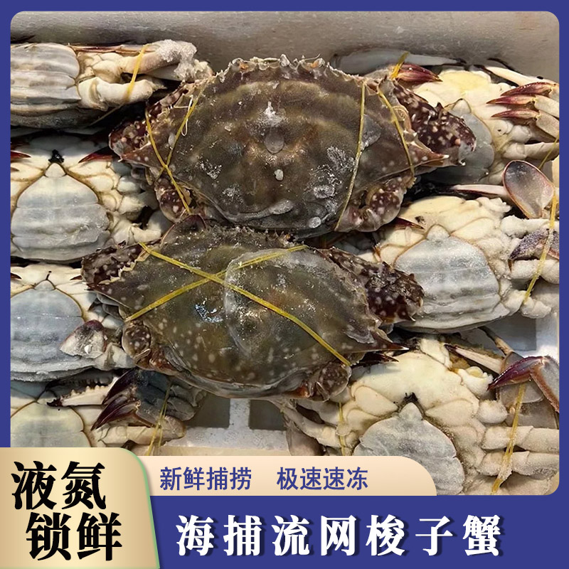 【买3斤送1斤】舟山野生梭子蟹带箱4斤左右到手7-10只母蟹海捕3-6两【保鲜不保活】液氮锁鲜顺丰冷链【冻蟹】螃蟹