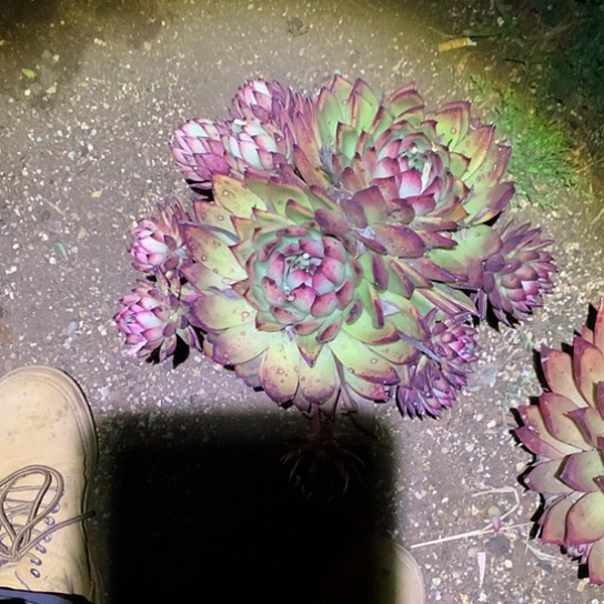 轩*每日特价活动开始啦 