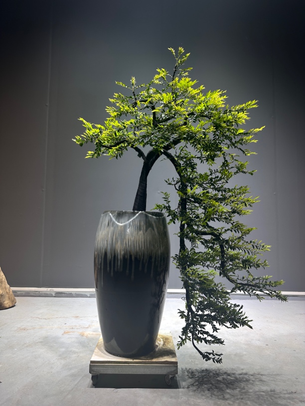 广东小叶紫檀悬崖黑骨茶造型盆景