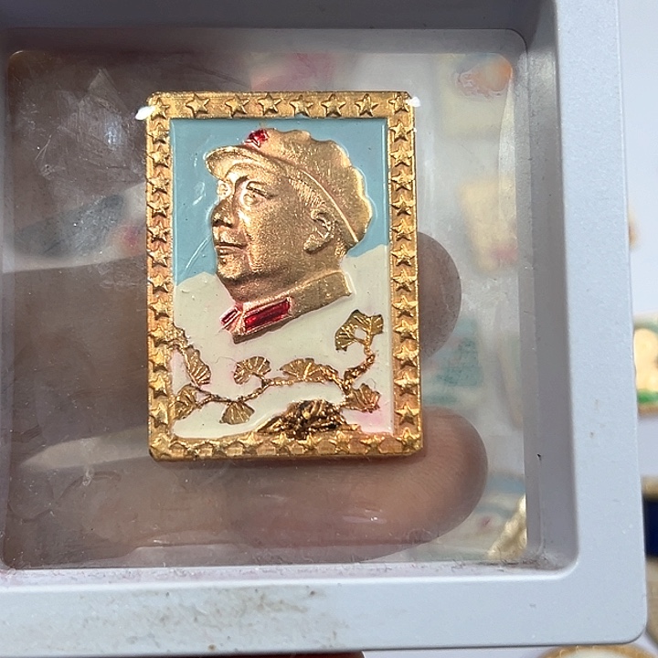 其他普通金属徐*摩纪念章一个