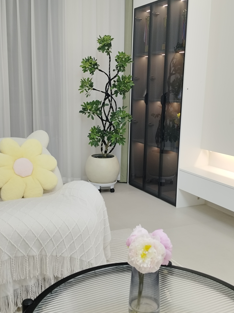 鸭脚木网红款极简风简约风轻奢风绿植网红款造型鲜活客厅绿植造型