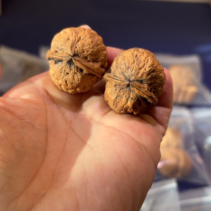 文玩核桃吊坠红河龙珠