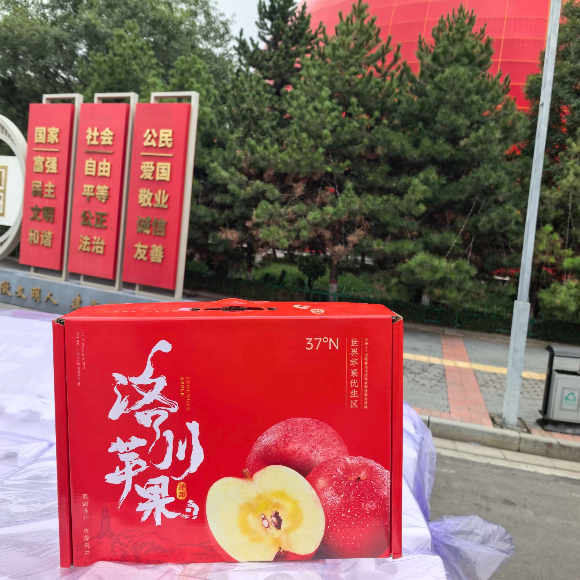 （礼盒装）陕西洛川精品红富士苹果，当季新鲜脆甜多汁，产地直发 