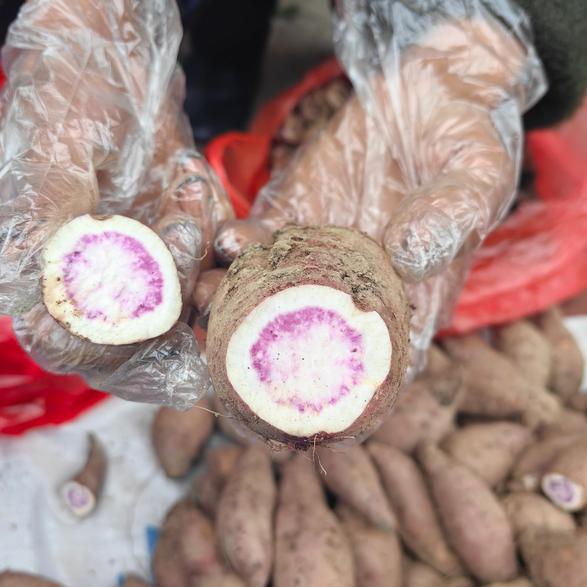 正宗沙地种植紫薯新鲜现挖粉糯香甜健康粗粮