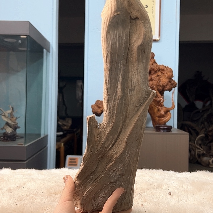 柏木?***江我们的生活也是