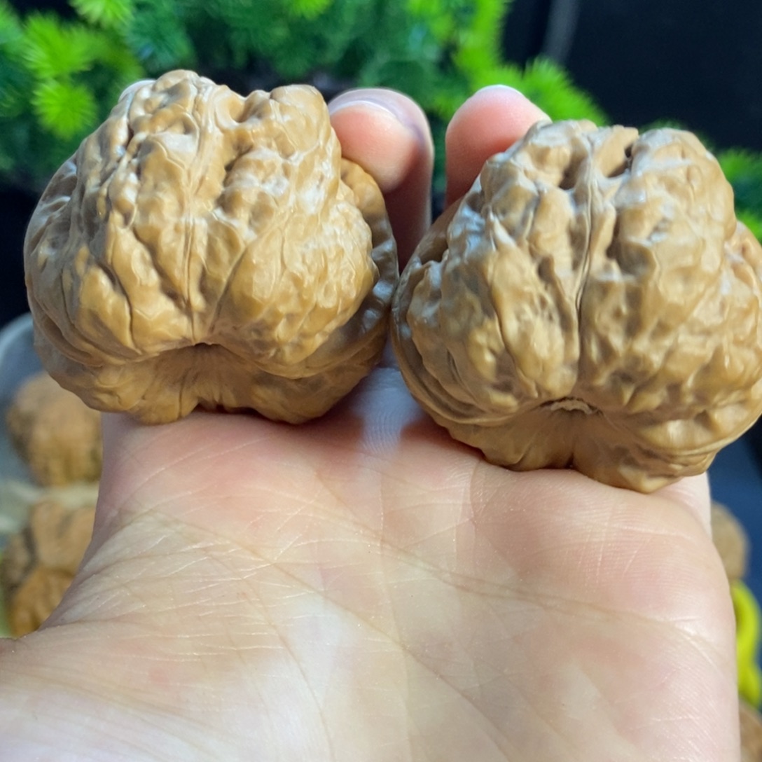 核桃核桃把件文玩白茬肥蛙蹬腿5